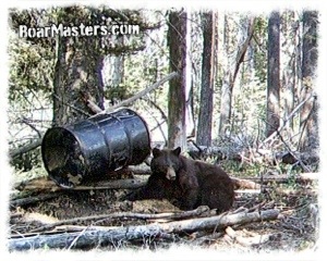 Bear-ly Legal Mix Bear Bait Flavors